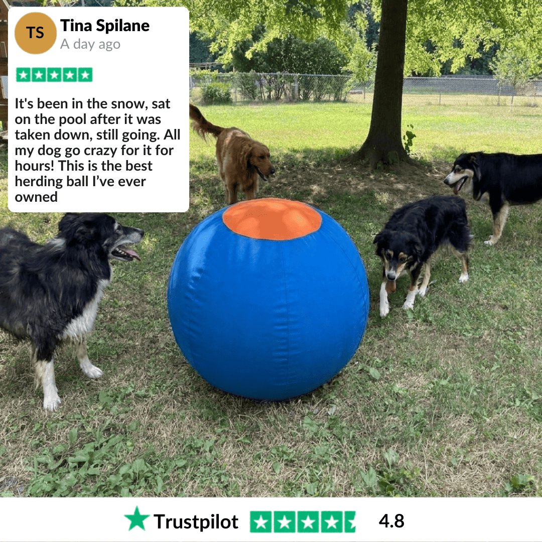 Drevit® Onverwoestbare Drijfbal voor Honden