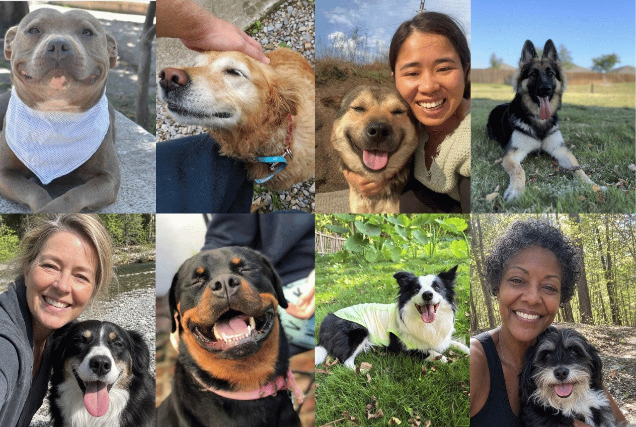 Duizenden tevreden baasjes en honden
